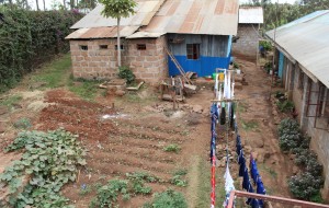 Young Life's Children's Home in Ruiru: Water, Sanitation and Irrigation